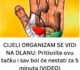 CIJELI ORGANIZAM SE VIDI NA DLANU: Pritisnite ovu tačku i sav bol će nestati za 5 minuta (VIDEO)