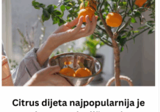 Citrus dijeta najpopularnija je među poznatim ličnostima: Smatra se najefikasnijom, a ovo je plan za 15 dana