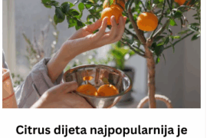 Citrus dijeta najpopularnija je među poznatim ličnostima: Smatra se najefikasnijom, a ovo je plan za 15 dana
