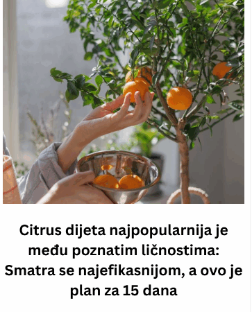 Citrus dijeta najpopularnija je među poznatim ličnostima: Smatra se najefikasnijom, a ovo je plan za 15 dana