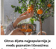 Citrus dijeta najpopularnija je među poznatim ličnostima: Smatra se najefikasnijom, a ovo je plan za 15 dana