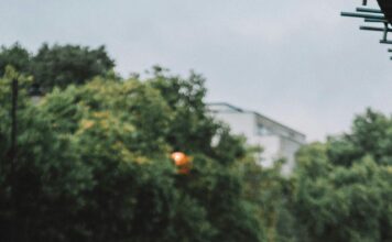 Dok pričate, nesvjesno trenirate: Koliko vas koraka košta jedan poziv? Dok pričate, nesvjesno trenirate: Koliko vas koraka košta jedan poziv?