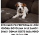 Evo kako psi prepoznaju lošu osobu: Dovoljan im je samo 1 znak i odmah osete kada neko ima zlo u sebi