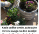 Kada sadite cveće, zakopajte mrvicu ovoga na dno saksije: Za nekoliko dana bujaće kao lude