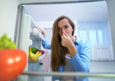 Koji su najčešći razlozi neugodnih mirisa u vašem domu