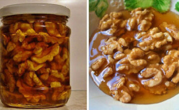 Med i orasi za jačanje organizma u hladne zimske dane Med i orasi za jačanje organizma u hladne zimske dane