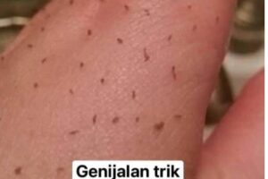 MITISERI SAMI ISPADAJU IZ PORA, ŽENA POKAZALA GENIJALAN TRIK: Uradite ove 3 stvari i oduševit ćete se licem (FOTO)