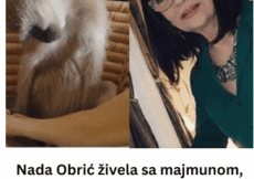 Nada Obrić živela sa majmunom, hranila ga, sa sobom vodila: Nije ni slutila šta će je te večeri snaći u podrumu