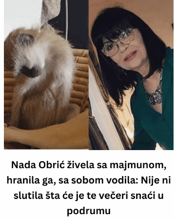 Nada Obrić živela sa majmunom, hranila ga, sa sobom vodila: Nije ni slutila šta će je te večeri snaći u podrumu