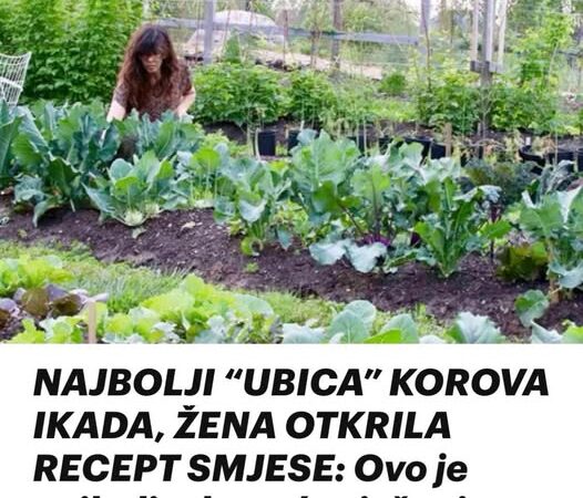 NAJBOLJI “UBICA” KOROVA IKADA, ŽENA OTKRILA RECEPT SMJESE: Ovo je najbolje domaće rješenje