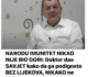 NARODU IMUNITET NIKAD NIJE BIO GORI: Doktor dao SAVJET kako da ga podignete BEZ LIJEKOVA, NIKAKO ne jedite ovo