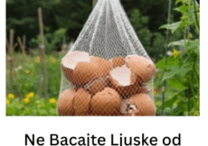 Ne Bacajte Ljuske od Jaja! Obesite ih u Bašti – Razlog će vas iznenaditi!