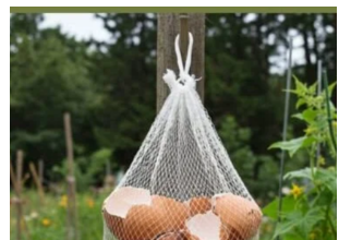 Ne Bacajte Ljuske od Jaja! Obesite ih u Bašti – Razlog će vas iznenaditi! Ne Bacajte Ljuske od Jaja! Obesite ih u Bašti – Razlog će vas iznenaditi!