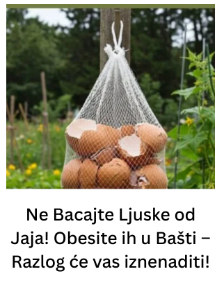 Ne Bacajte Ljuske od Jaja! Obesite ih u Bašti – Razlog će vas iznenaditi!