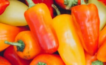 Ne bacajte peteljke od paprika: Evo kako ih možete iskoristiti kao tajni sastojak u jelima Ne bacajte peteljke od paprika: Evo kako ih možete iskoristiti kao tajni sastojak u jelima