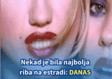Nekad je bila najbolja riba na estradi: DANAS RADI U KINESKOJ RADNJI i izgleda ovako