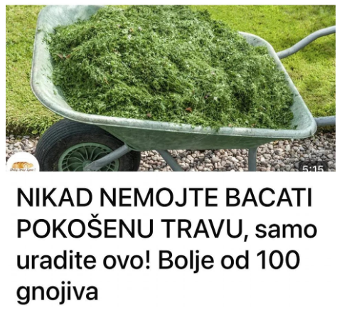 NIKAD NEMOJTE BACATI POKOŠENU TRAVU, samo uraditeovo! Bolje od 100 gnojiva