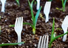 Ovaj trik s plastičnim viljuškama u vrtu koristi se širom svijeta: Razlog će vas iznenaditi