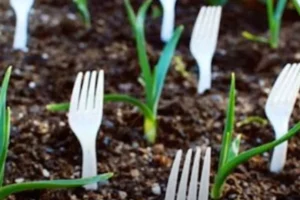 Ovaj trik s plastičnim viljuškama u vrtu koristi se širom svijeta: Razlog će vas iznenaditi