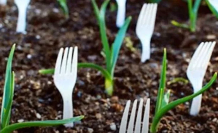 Ovaj trik s plastičnim viljuškama u vrtu koristi se širom svijeta: Razlog će vas iznenaditi