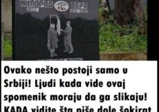 Ovako nešto postoji samo u Srbiji! Ljudi kada vide ovaj spomenik moraju da ga slikaju! KADA vidite šta piše dole šokirat će te se (FOTO)