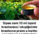 Prelivanjem 10 ml pod krastavce i skupljanjem izravno u kante, možemo osigurati maksimalne prinose.