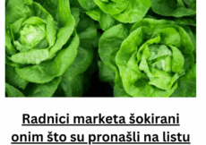 Radnici marketa šokirani onim što su pronašli na listu ZELENE SALATE: “ŠTA JE OVO ZABOGA?!”