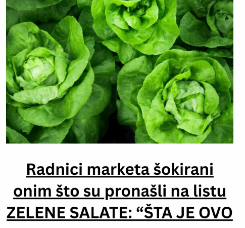 Radnici marketa šokirani onim što su pronašli na listu ZELENE SALATE: “ŠTA JE OVO ZABOGA?!”