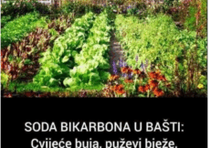 S0DA BIKARB0NA U BAŠTI: Cvijeće buja, puževi bježe, zemlja se čisti! Evo kako se koristi
