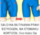 SALO NA BUTINAMA PRAVI ESTROGEN, NA STOMAKU KORTIZOL: Evo Kako Da Zaustavite Hormonsko Gojenje