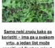 Samo neki znaju kako ga koristiti – Ima ga u svakom vrtu, a jedan list može spasiti vaš život za minut, evo i kako