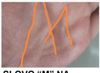 Slovo “M” na dlanu imaju samo posebni ljudi! Ako ga imate pogledajte njegovo značenje Slovo “M” na dlanu imaju samo posebni ljudi! Ako ga imate pogledajte njegovo značenje