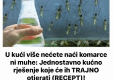 U kući više nećete naći komarce ni muhe: Jednostavno kućno rješenje koje će ih TRAJNO otjerati (RECEPT)!