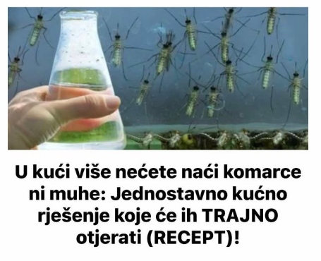U kući više nećete naći komarce ni muhe: Jednostavno kućno rješenje koje će ih TRAJNO otjerati (RECEPT)!