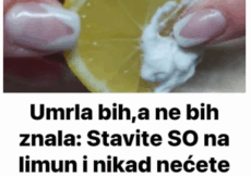 Umrla bih,a ne bih znala: Stavite SO na limun i nikad nećete imati ovaj problem!