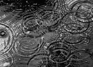 Zvuk kiše može ublažiti bol kod ovih stanja Zvuk kiše može ublažiti bol kod ovih stanja