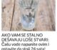 AKO VAM SE STALNO DEŠAVAJU LOŠE STVARI: Čašu vode napunite ovim i ostavite da stoji 24 sata! PREPOROD!