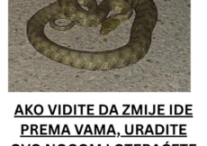 AKO VIDITE DA ZMIJE IDE PREMA VAMA, URADITE OVO NOGOM I OTERAĆETE JE: Od toga beži kao đavo od krsta