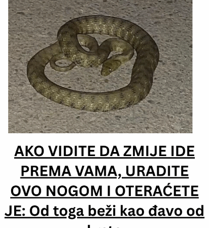 AKO VIDITE DA ZMIJE IDE PREMA VAMA, URADITE OVO NOGOM I OTERAĆETE JE: Od toga beži kao đavo od krsta