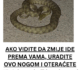 AKO VIDITE DA ZMIJE IDE PREMA VAMA, URADITE OVO NOGOM I OTERAĆETE JE: Od toga beži kao đavo od krsta