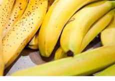 Banane više NEĆETE gledati istim očima – Ovo je prava istina o njima