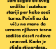 “Bio sam šokiran kada sam stigao do svog sedišta i zatekao stariji par kako sedi tamo…”