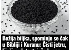 Božija biljka, spominje se čak u Bibliji i Kuranu: Čisti jetru, liječi nadutost, jača krvne sudove i imunitet