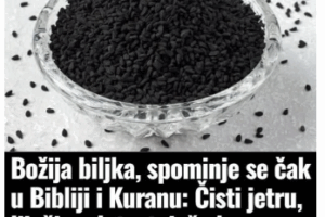 Božija biljka, spominje se čak u Bibliji i Kuranu: Čisti jetru, liječi nadutost, jača krvne sudove i imunitet
