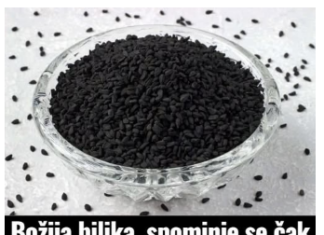 Božija biljka, spominje se čak u Bibliji i Kuranu: Čisti jetru, liječi nadutost, jača krvne sudove i imunitet Božija biljka, spominje se čak u Bibliji i Kuranu: Čisti jetru, liječi nadutost, jača krvne sudove i imunitet