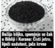 Božija biljka, spominje se čak u Bibliji i Kuranu: Čisti jetru, liječi nadutost, jača krvne sudove i imunitet
