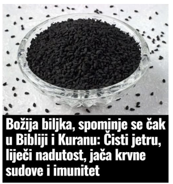 Božija biljka, spominje se čak u Bibliji i Kuranu: Čisti jetru, liječi nadutost, jača krvne sudove i imunitet