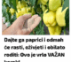 Dajte ga paprici i odmah će rasti, oživjeti i obilato roditi: Ovo je vrlo VAŽAN korak