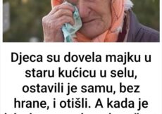 Djeca su dovela majku u staru kućicu u selu, ostavili je samu, bez hrane, i otišli. A kada je kćerka nazvala nakon šest mjeseci, iznenadila se onim što je čula… Djeca su dovela majku u staru kućicu u selu, ostavili je samu, bez hrane, i otišli. A kada je kćerka nazvala nakon šest mjeseci, iznenadila se onim što je čula…