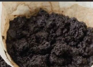 DVA NEVJEROVATNA NAČINA UPOTREBE – ZAŠTO JE TALOG KAFE PRAVO BLAGO! DVA NEVJEROVATNA NAČINA UPOTREBE – ZAŠTO JE TALOG KAFE PRAVO BLAGO!